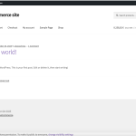 Home Page (in Progress)